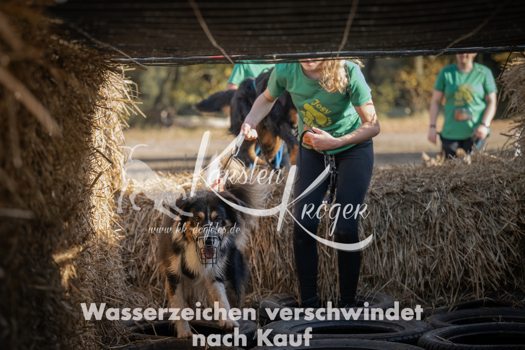 1055_ZZ99555 | kk-dogfotos