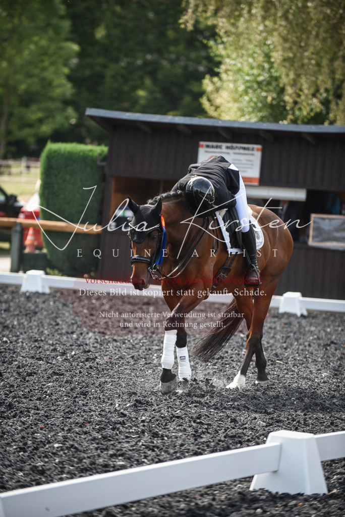 DSC_5198 | Pferde- und Turnierfotografie in Westsachsen. Pferdeportraits, Auftragszeichnungen und intuitive Kunst.