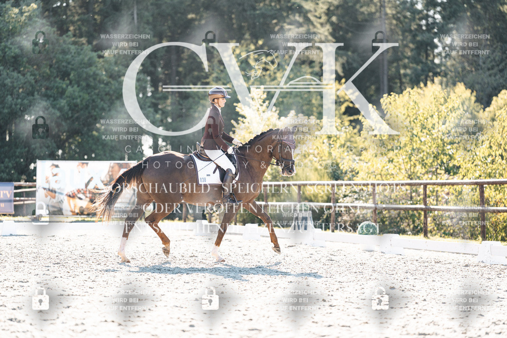 CK906542 | Turnierfotografie Pferdefotografie Trier Rheinland-Pfalz Pferdesport Reitsport Tierfotografie Sportfotografie Pferdevideo Pferdevideografie Equestrianvideography equestrianphotography  - Realisiert mit Pictrs.com