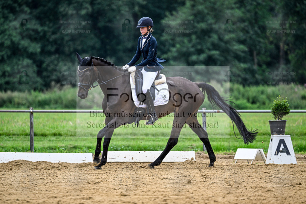 Reitturnier Hasbergen | Entdecke hochwertige Reitturnierfotos von Foto Oger. Professionell, emotional und authentisch – jetzt Lieblingsmomente im Shop bestellen. - Realisiert mit Pictrs.com