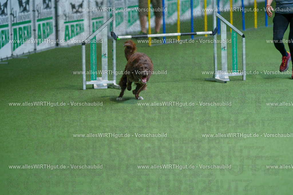 @allesWIRTHgut_Tierfotografie - www.allesWIRTHgut.de - 2604261519-7R505172 | Professionelle Tierfotografie in Mönchengladbach von Daniel Wirth (allesWIRTHgut). Liebevolle & natürliche Bilder von Hunden & Katzen für unvergessliche Erinnerungen.