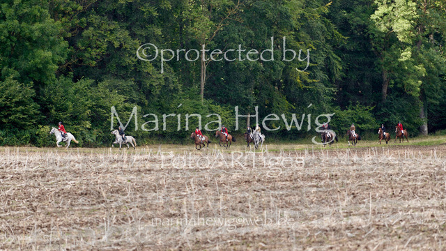 _MCH7883_Marina Hewig | Fotografie, FotoArt, PferdesportArt, Pferdesportfotografie, Landschaftsfotografie, Reisefotografie, Reise, Pferde - Realisiert mit Pictrs.com