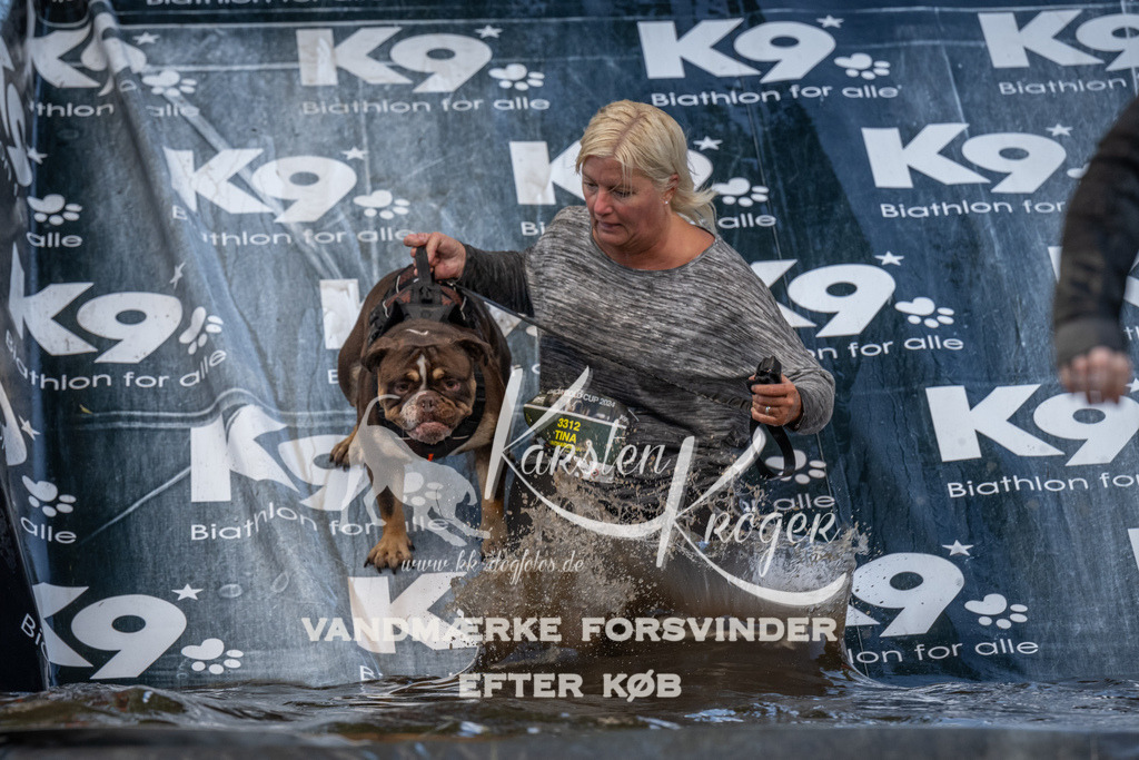 1556_ZZ91439 | kk-dogfotos