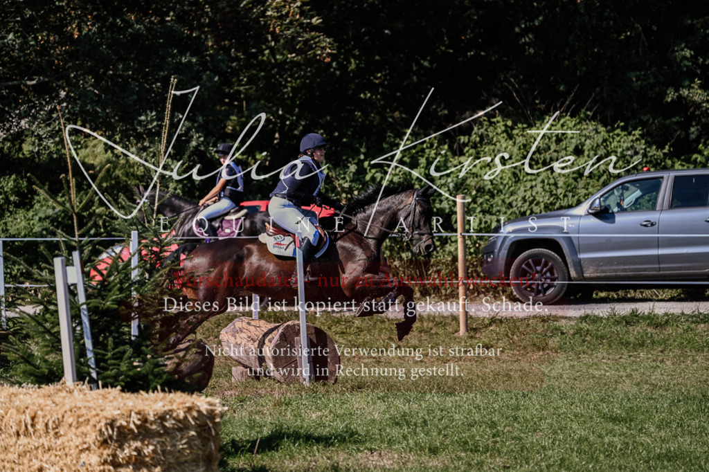 DSC_1620 | Pferde- und Turnierfotografie in Westsachsen. Pferdeportraits, Auftragszeichnungen und intuitive Kunst.