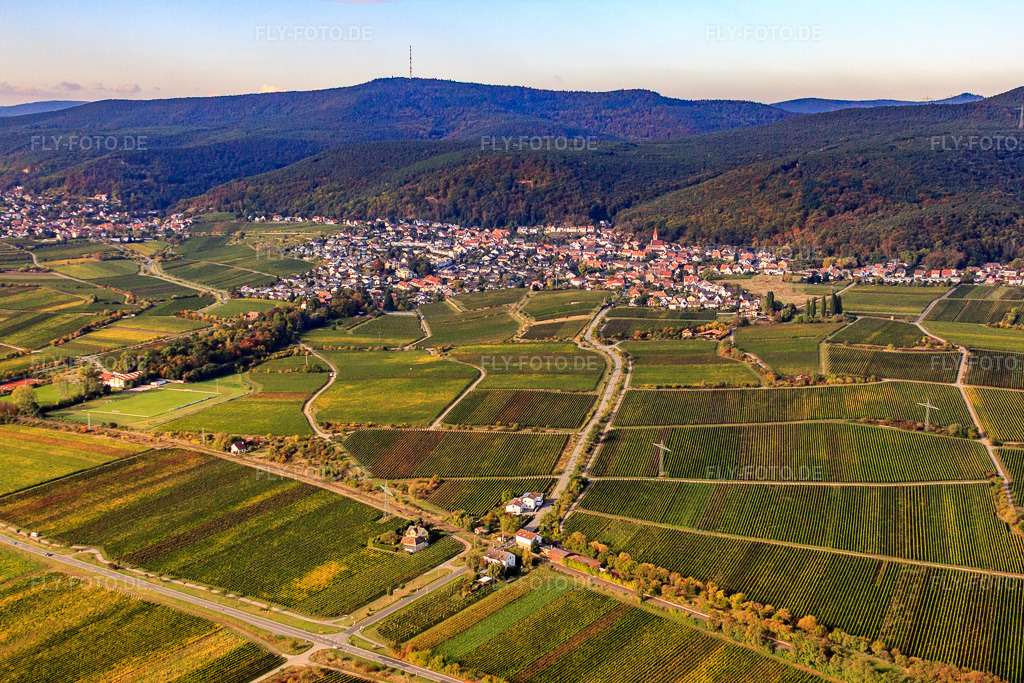 Luftbild: Deidesheimer Straße im Ortsteil Königsbach in Neustadt im Bundesland Rheinland-Pfalz in Deutschland. Foto: IMG_22025.jpg vom 15.10.2009 durch Werner Riehm/FLY-FOTO.de