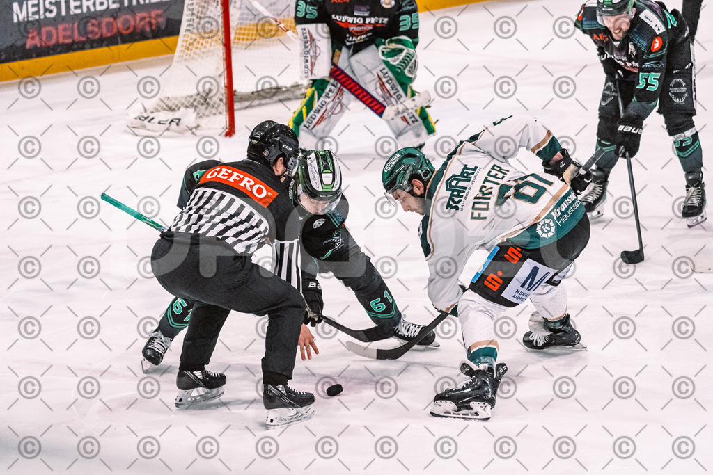 Alligators_vs_Erding_01_02_2026-65 | Höchstadt Alligators Fotogalerie: Eishockey-Action aus Franken. Professionelle Spielfotos, Portraits & Stadionbilder zum Download. Jetzt entdecken! - Realisiert mit Pictrs.com