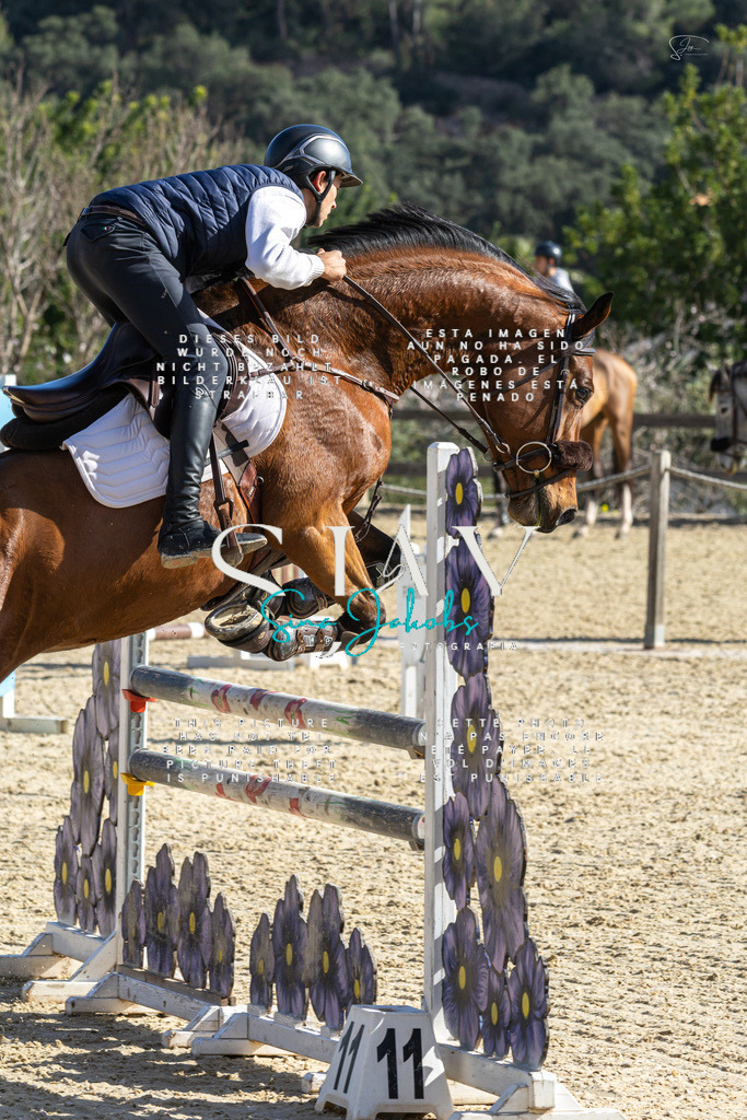 IMG_3973 | s-jay-photography - Realisiert mit Pictrs.com