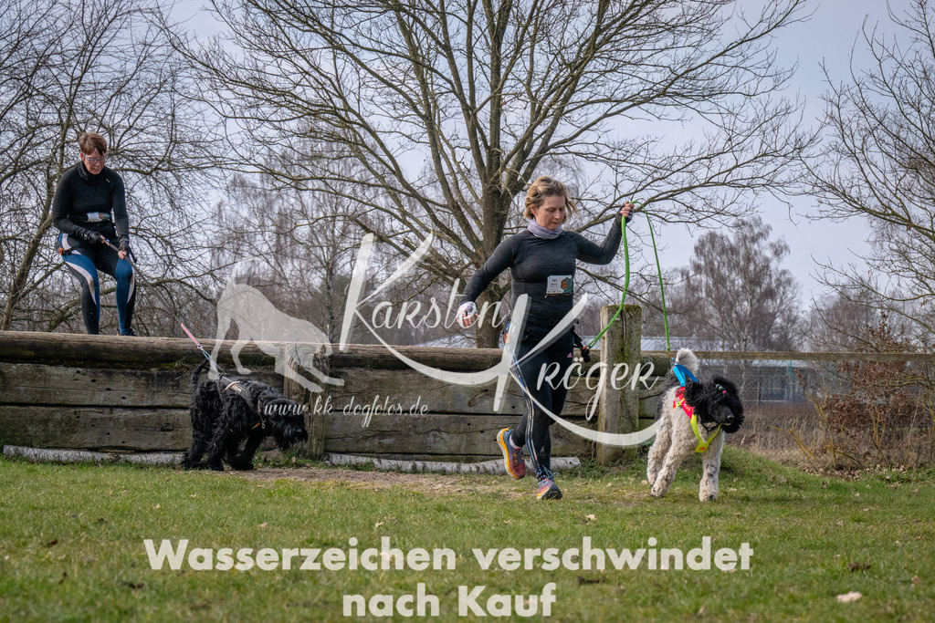 _ZZ90803 | kk-dogfotos