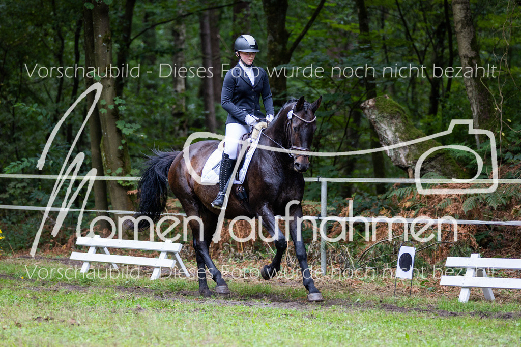 HB-A-Dressur-134 | MomenTaufnahmen Pferdesportfotos