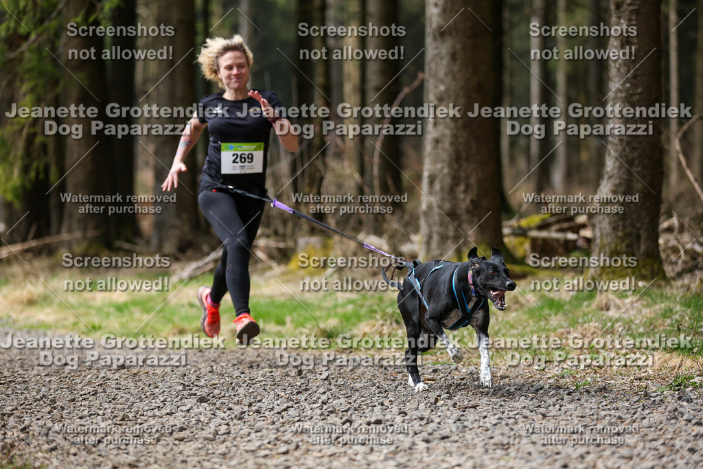 Dog Paparazzi - VCC26-512 | Dog Paparazzi Jeanette Grottendiek Fotografie & Videografie - Realisiert mit Pictrs.com