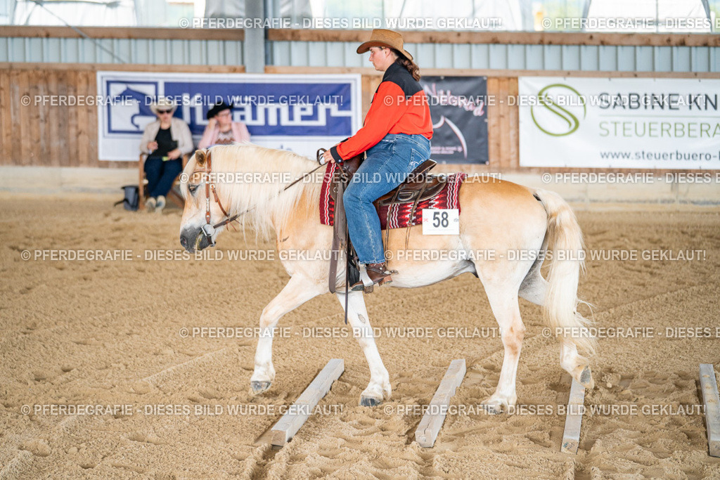 DSC02785 | Pferdegrafie