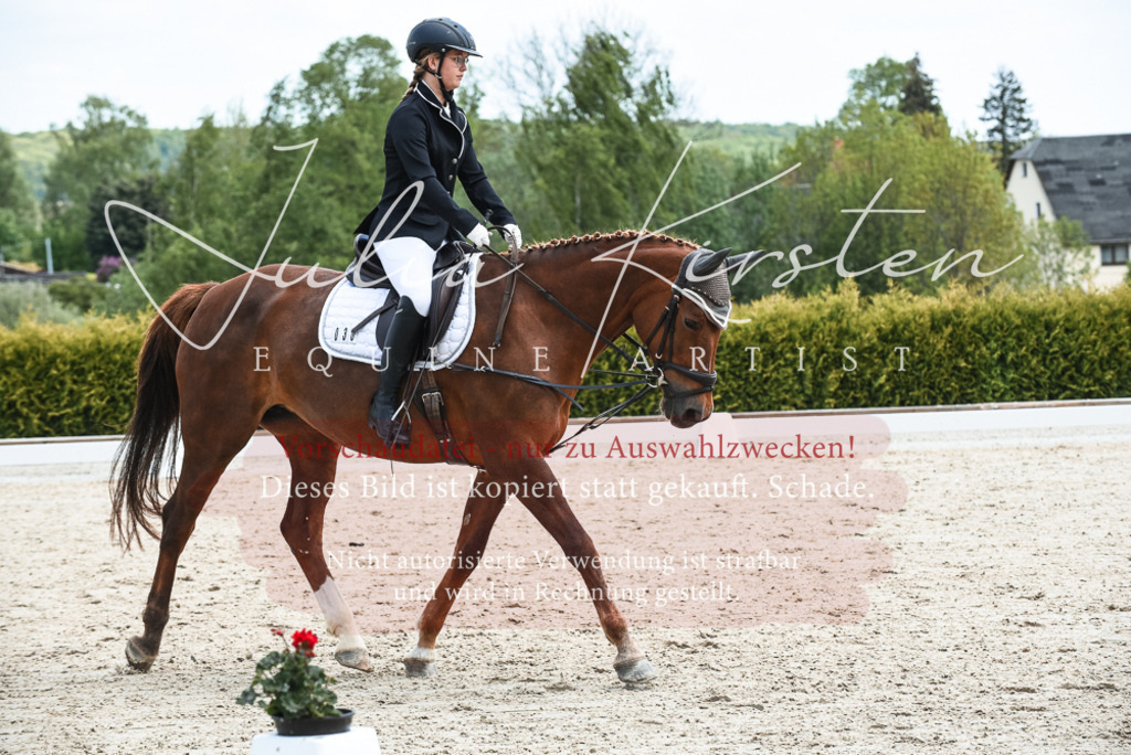 20230518_JK-Röhrsdorf-11-0274 | Pferde- und Turnierfotografie in Westsachsen. Pferdeportraits, Auftragszeichnungen und intuitive Kunst.