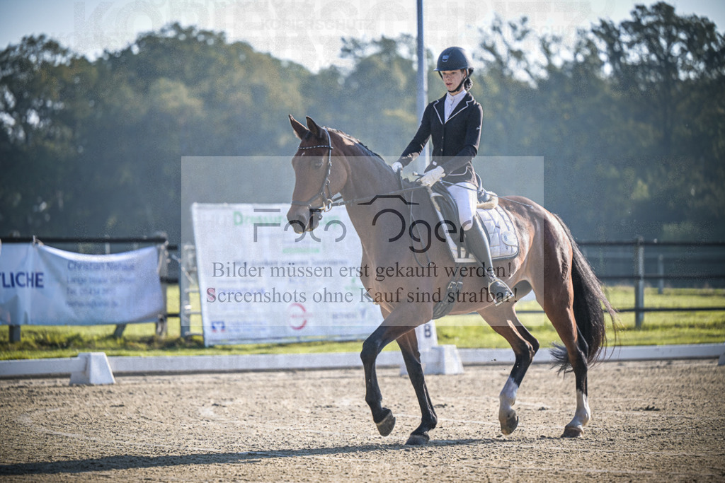DOS_0181 | Entdecke hochwertige Reitturnierfotos von Foto Oger. Professionell, emotional und authentisch – jetzt Lieblingsmomente im Shop bestellen.Deutschlandweite Turnierfotografie. - Realisiert mit Pictrs.com