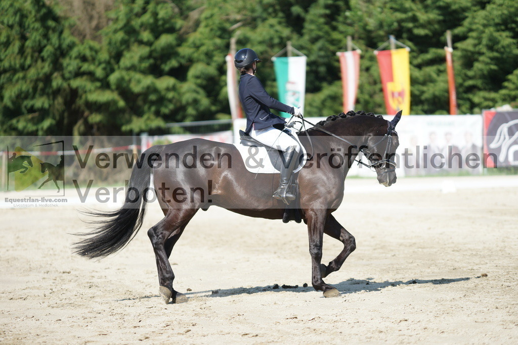 DSC02946 | equestrian-live-com