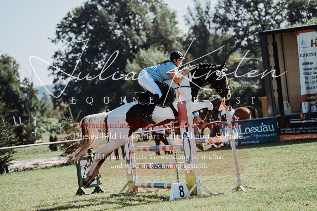 DSC_5479 | Pferde- und Turnierfotografie in Westsachsen. Pferdeportraits, Auftragszeichnungen und intuitive Kunst.
