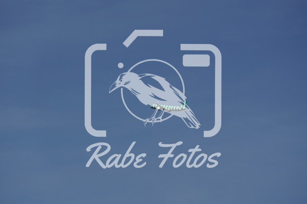 DSC08718 | rabefotos