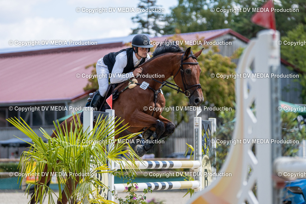 Hessische Tag 1-652 | dv-media-shop - Realisiert mit Pictrs.com