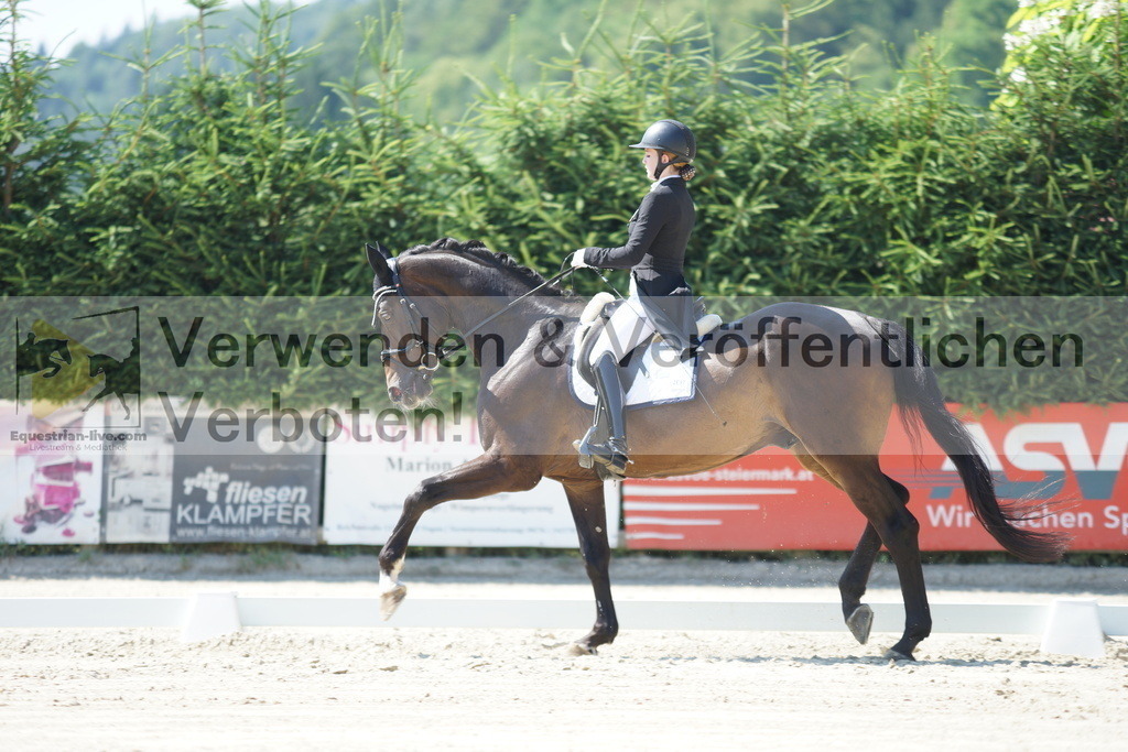 DSC02340 | equestrian-live-com