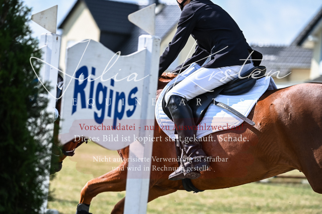 DSC_7790 | Pferde- und Turnierfotografie in Westsachsen. Pferdeportraits, Auftragszeichnungen und intuitive Kunst.