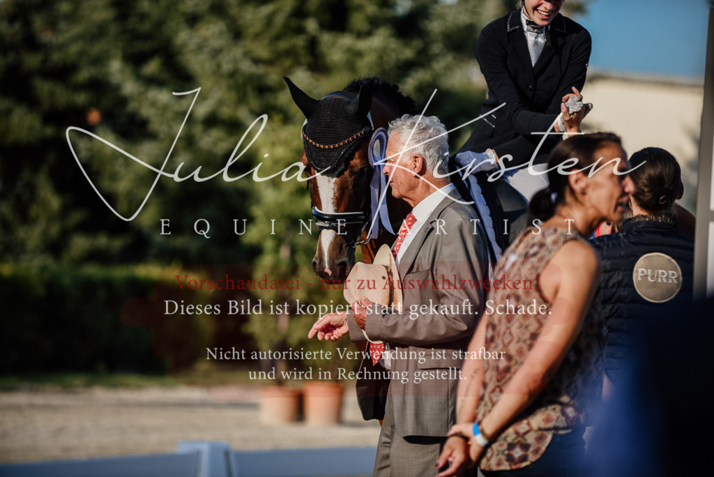 DSC_0720 | Pferde- und Turnierfotografie in Westsachsen. Pferdeportraits, Auftragszeichnungen und intuitive Kunst.