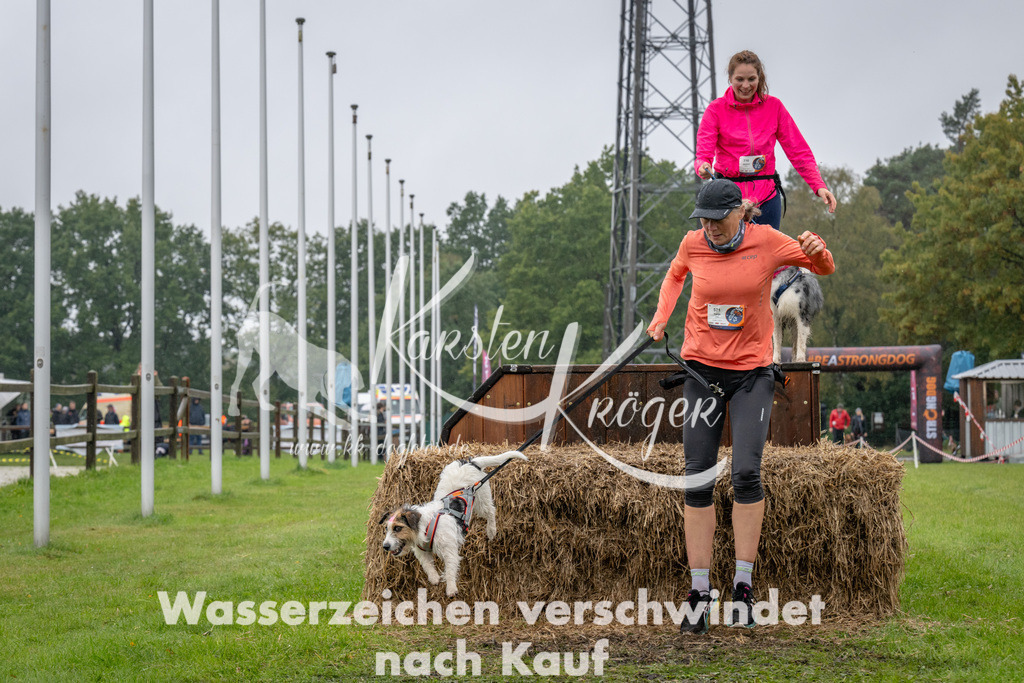 1332-93833 | kk-dogfotos