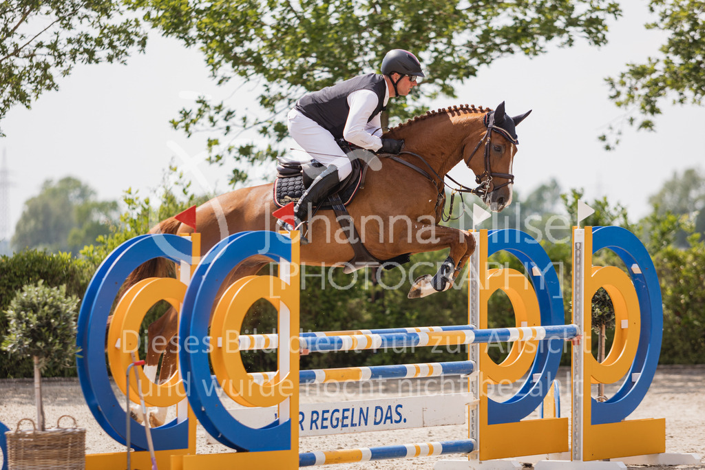 230616_Lemwerder_Springpf-L2-731 | Deine schönsten Turniermomente als professionelle Fotos! Entdecke hochwertige Pferdesport-Fotografie im Online-Shop. Jetzt Fotos finden & bestellen!