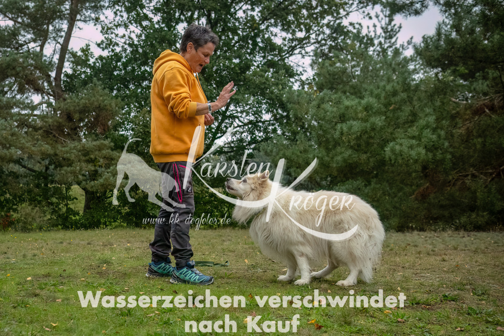 1119_ZZ94005-Bearbeitet | kk-dogfotos