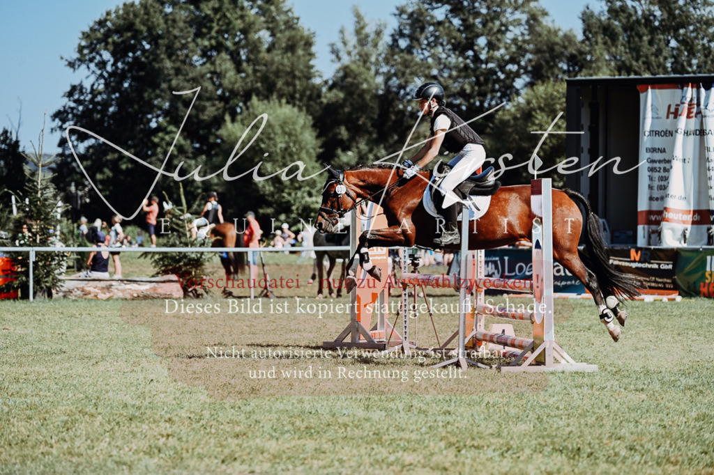 DSC_6810 | Pferde- und Turnierfotografie in Westsachsen. Pferdeportraits, Auftragszeichnungen und intuitive Kunst.