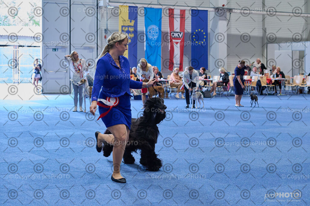 202406_ÖKV-IHA-Tulln24_DSC_5190 | proPHOTO - Realisiert mit Pictrs.com