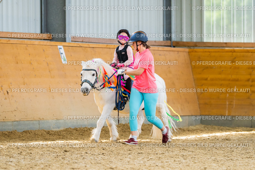 DSC00026 | Pferdegrafie