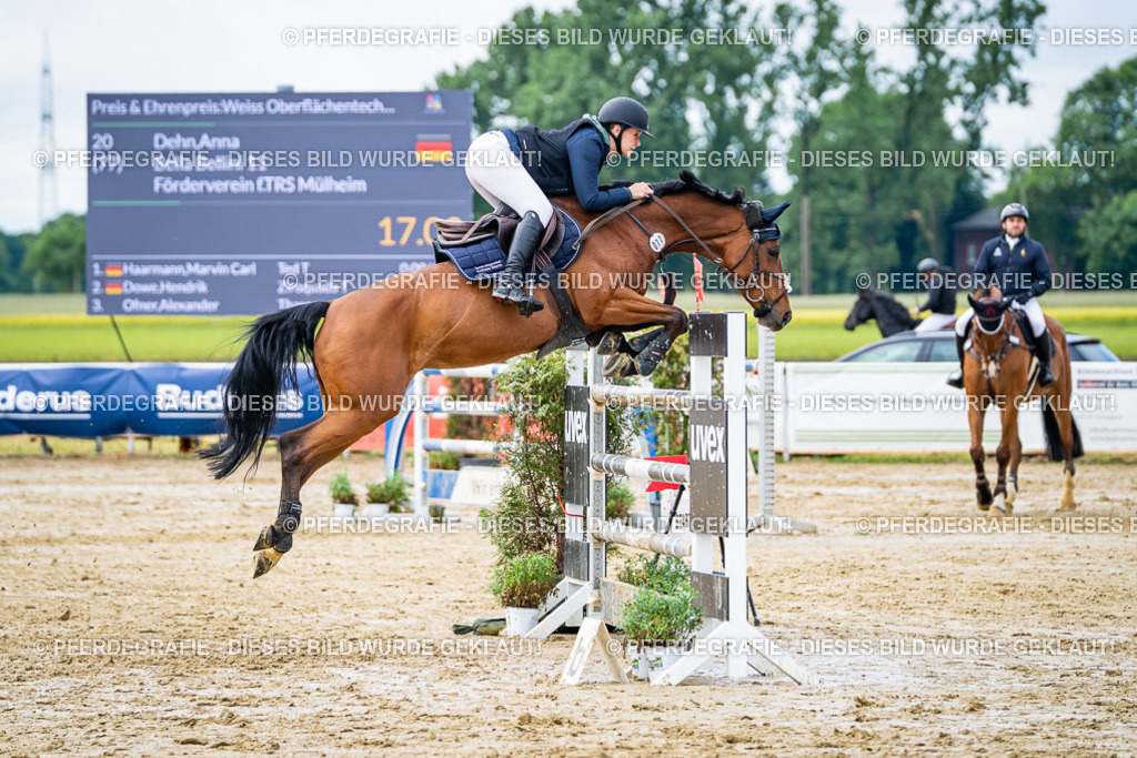 DSC03960 | Pferdegrafie