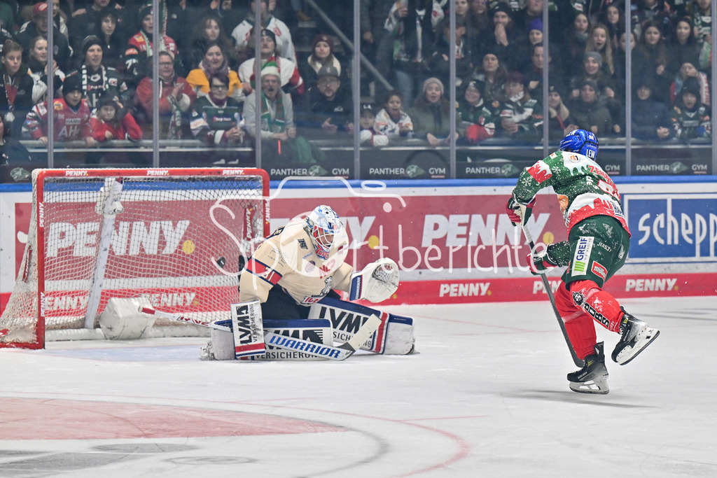 Augsburger Panther - Nürnberg Ice Tigers | in dieser Szene scheitert D. J. BUSDEKER (Augsburger Panther #14) an Niklas TREUTLE (Nürnberg Ice Tigers #31) / Torchance / DEL: Augsburger Panther - Nuernberg Ice Tigers, Curt Frenzel Stadion am 06.12.2024