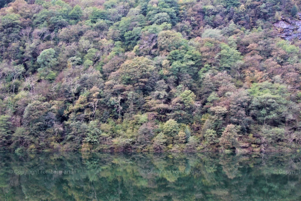 IMG_0259 (2) | Wald, bewaldetes Ufer, Wald mit Spiegelung im Wasser, im Wasser gespiegelte Bäume 