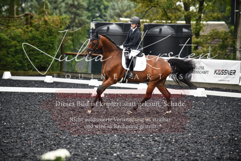 DSC_2689 | Pferde- und Turnierfotografie in Westsachsen. Pferdeportraits, Auftragszeichnungen und intuitive Kunst.