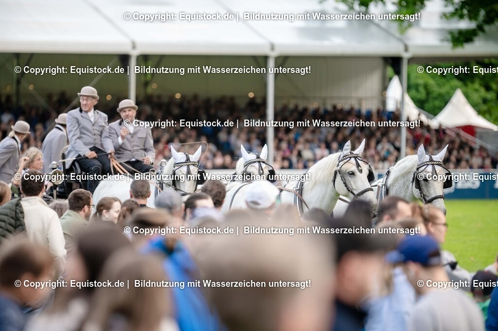 20250606_Lange-Pferdenacht_0250 | Foto: Thomas Hartig