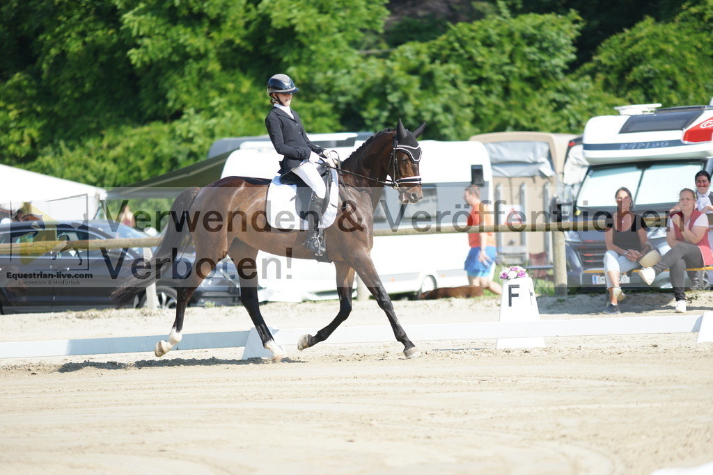 DSC03936 | equestrian-live-com