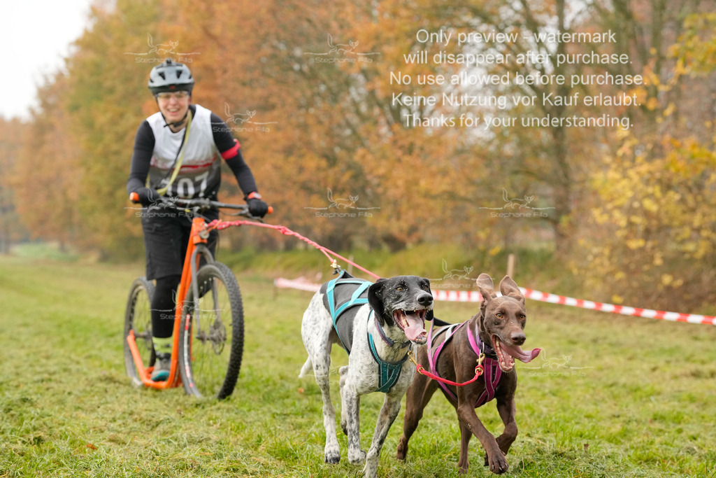 Visbeck_Sa_DS2DR2-65 | stephaniefillaphotographie - Realisiert mit Pictrs.com