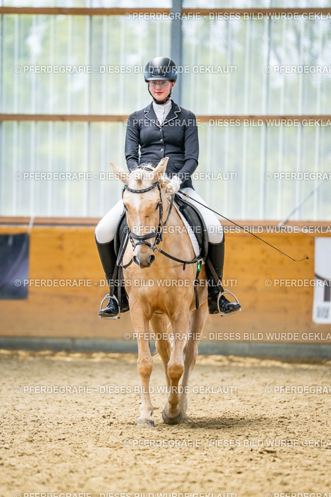 DSC04489 | Pferdegrafie