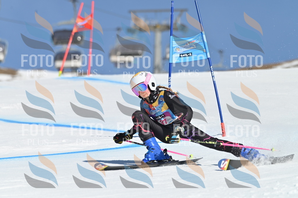 BGV_8292 | holidayphoto