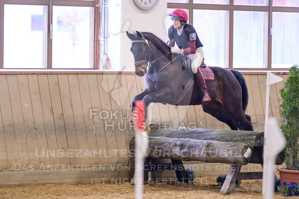 29032026-Schwaiganger-Prfg03-2-0919 | Fokus Hufschlag Fotografie - Realisiert mit Pictrs.com