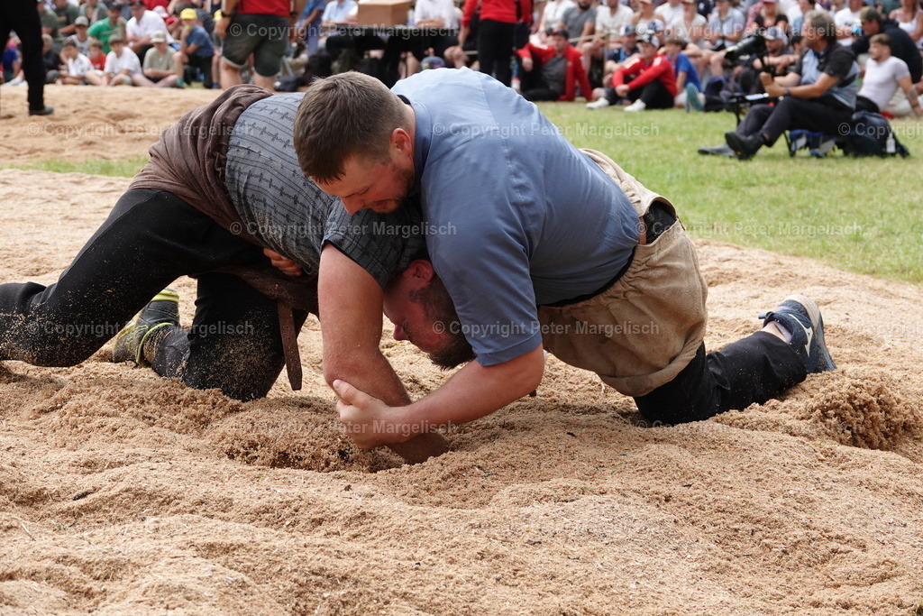 DSC01322 | Schwingen - Realisiert mit Pictrs.com