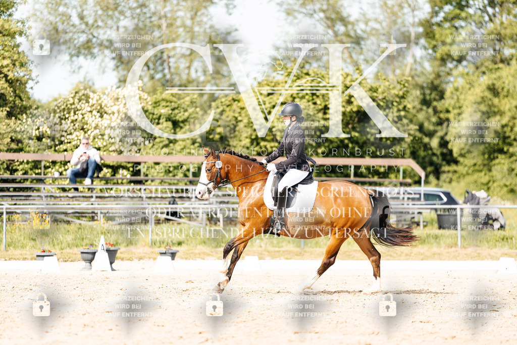 CK900566 | Turnierfotografie Pferdefotografie Trier Rheinland-Pfalz Pferdesport Reitsport Tierfotografie Sportfotografie Pferdevideo Pferdevideografie Equestrianvideography equestrianphotography  - Realisiert mit Pictrs.com