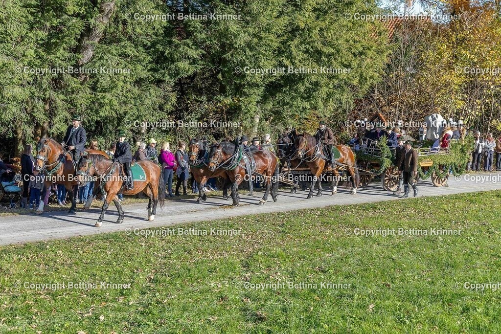 LBT25-510 | foto-bettina-krinner - Realisiert mit Pictrs.com