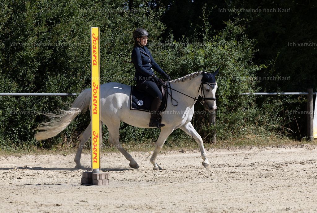 WA_Trail_4_KerstinBernhardt-3 | working equitationturnier fotograf videograf stoibphotography marixx film working equitation deutschland reitsport turnierfotografie eventfotografie equestrian events
