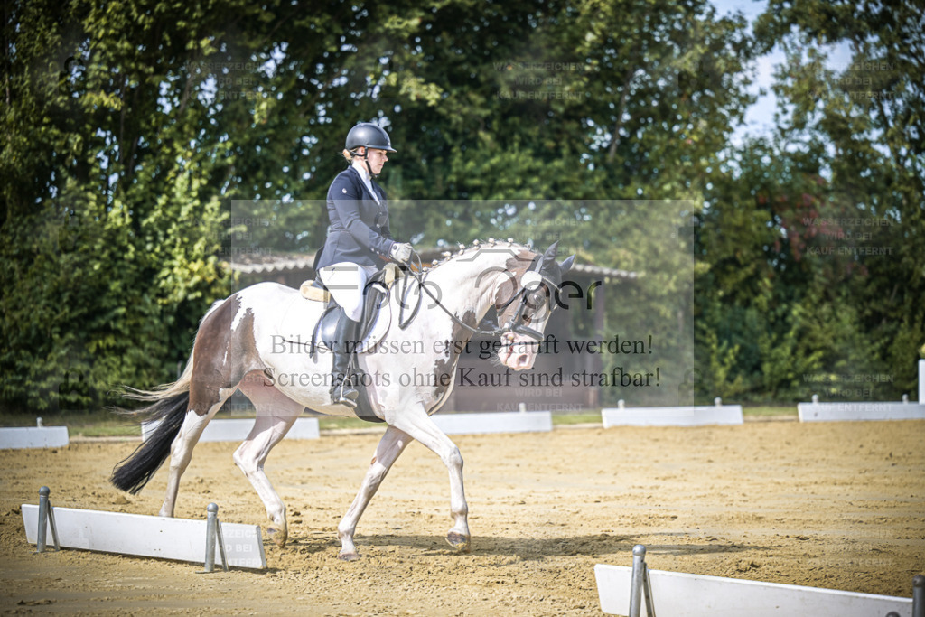 DOS_5161 | Entdecke hochwertige Reitturnierfotos von Foto Oger. Professionell, emotional und authentisch – jetzt Lieblingsmomente im Shop bestellen. - Realisiert mit Pictrs.com