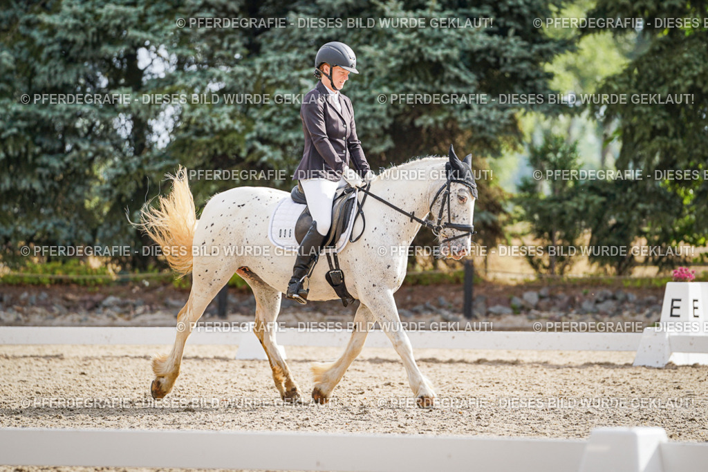 DSC01009 | Pferdegrafie