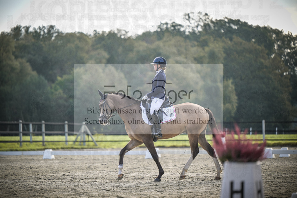 DOS_B019 | Entdecke hochwertige Reitturnierfotos von Foto Oger. Professionell, emotional und authentisch – jetzt Lieblingsmomente im Shop bestellen.Deutschlandweite Turnierfotografie. - Realisiert mit Pictrs.com
