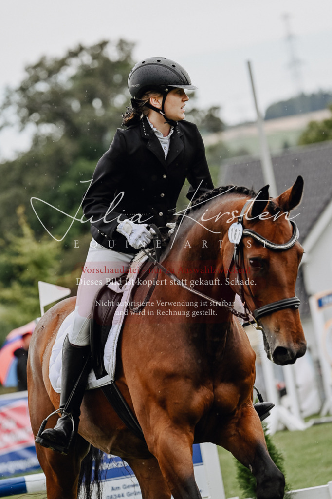 DSC_7032 | Pferde- und Turnierfotografie in Westsachsen. Pferdeportraits, Auftragszeichnungen und intuitive Kunst.