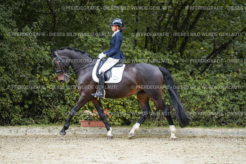 DSC00656 | Pferdegrafie