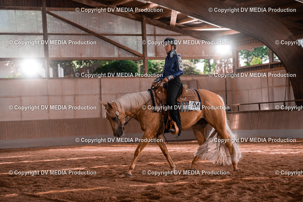 NE100438 | dv-media-shop - Realisiert mit Pictrs.com